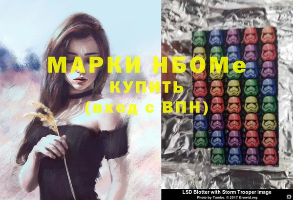 ГАЛЛЮЦИНОГЕННЫЕ ГРИБЫ Покров