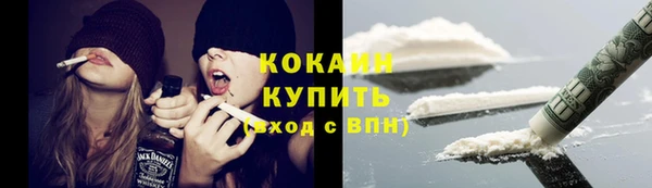 прущие грибы Абинск