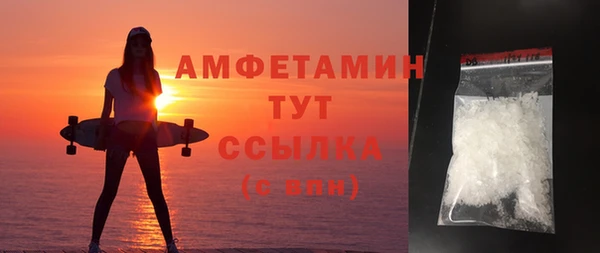 прущие грибы Абинск