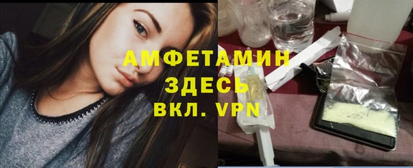 прущие грибы Абинск