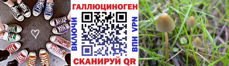 Галлюциногенные грибы ЛСД  где найти   ссылка на мегу рабочий сайт  Суздаль 