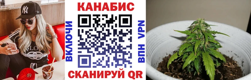 где продают наркотики  Суздаль  Шишки марихуана гибрид 